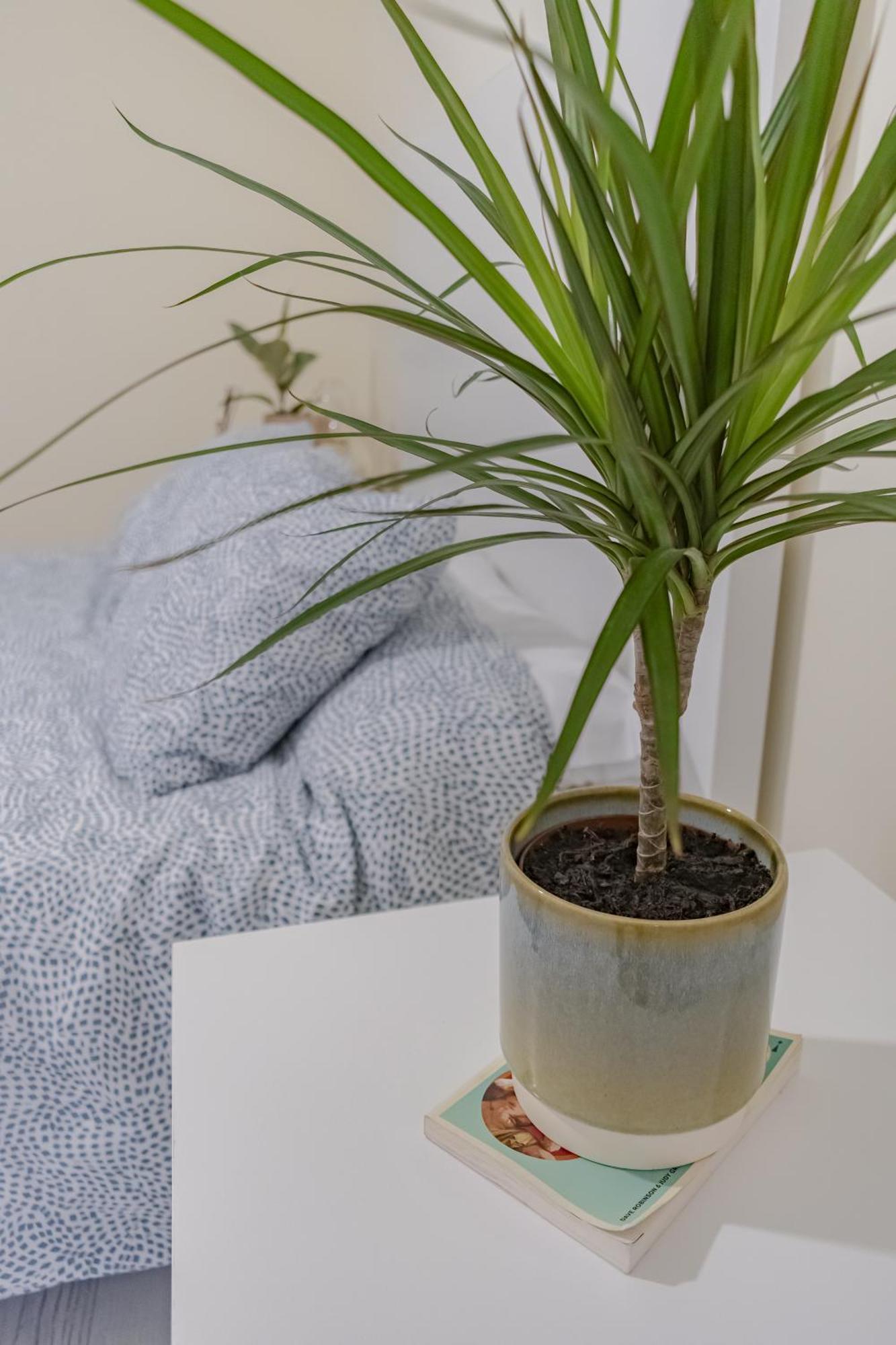 Appartement Fuentes